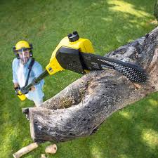 Best Aeration Services  in Hayesville, OR